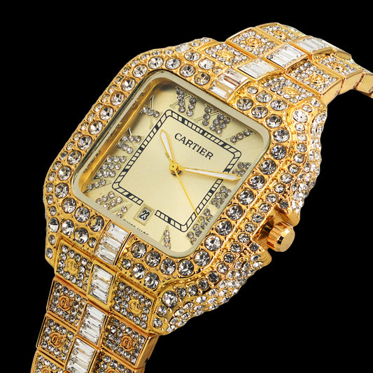 CARTIER Stone Quartz Watch | CRTR STN 500 D